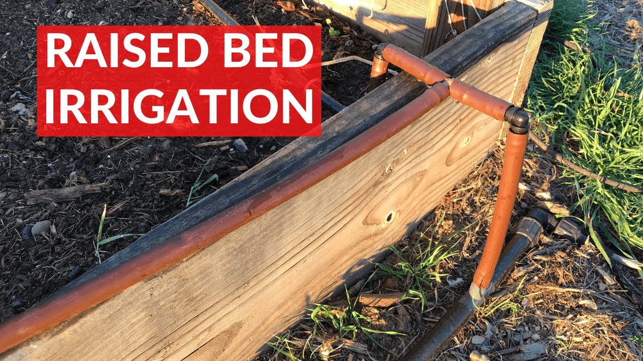 MAJOR Improvements in the RAISED BED GARDEN