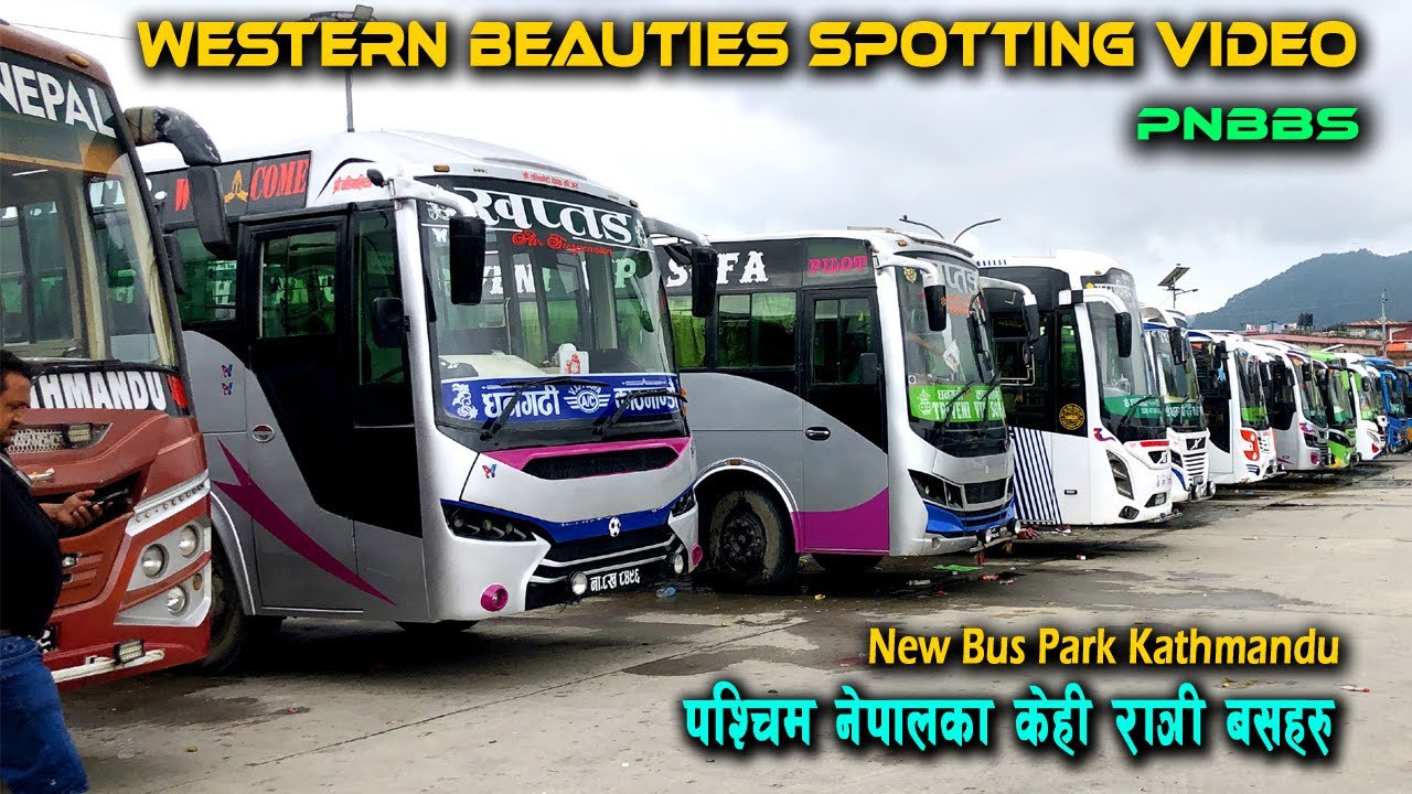 𝑾𝒆𝒔𝒕𝒆𝒓𝒏 𝑵𝒊𝒈𝒉𝒕 𝑩𝒖𝒔 𝑺𝒑𝒐𝒕𝒕𝒊𝒏𝒈 𝑨𝒕 𝑮𝒐𝒏𝒈𝒂𝒃𝒖 𝑩𝒖𝒔 𝑷𝒂𝒓𝒌 𝒍 𝑲𝒂𝒕𝒉𝒎𝒂𝒏𝒅𝒖 𝒍 𝑫𝒂𝒗𝒊𝒅𝒗𝒍𝒐𝒈𝒔 