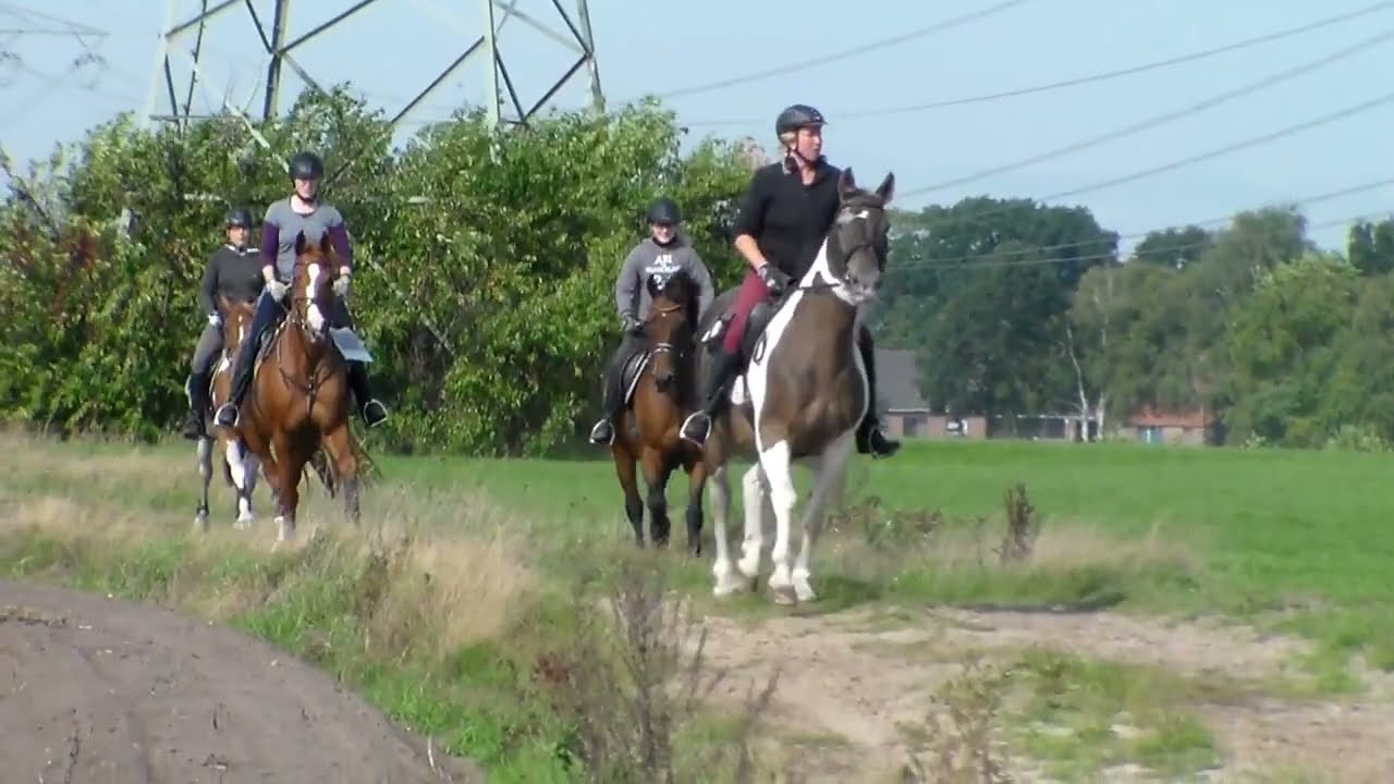 Wanderritt 2018 - Neuenburger Freizeitreiter