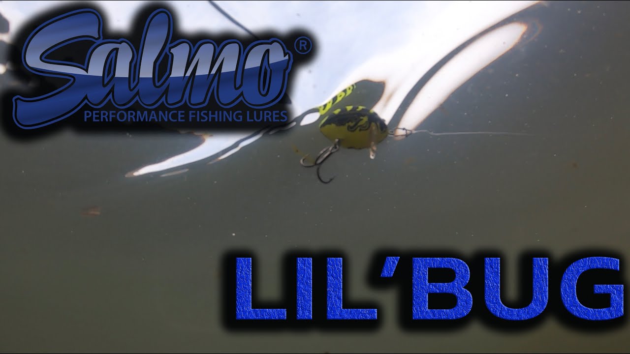 Salmo Lil'bug