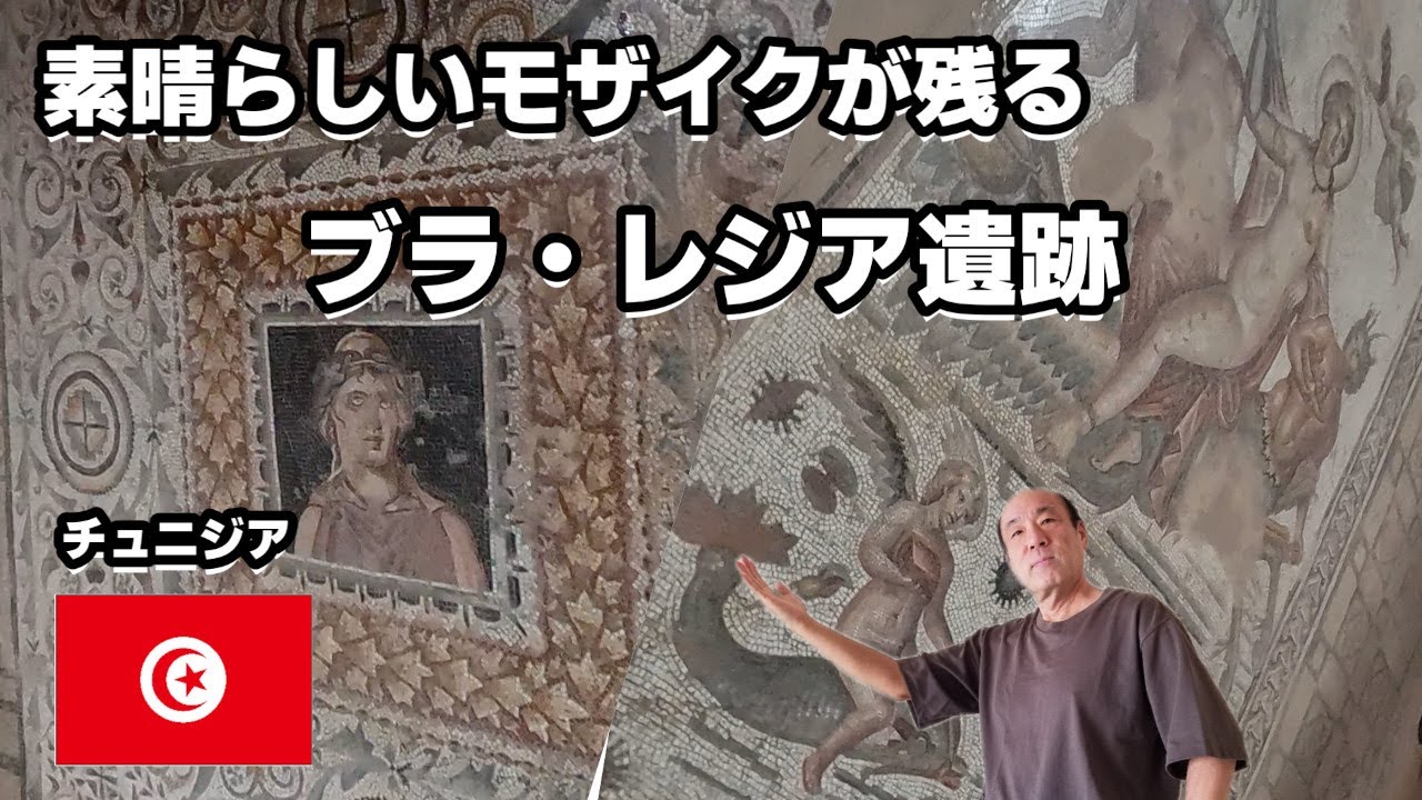 【チュニジア #18】チュニジア 素晴らしいモザイクが残る　ブラ・レジア遺跡