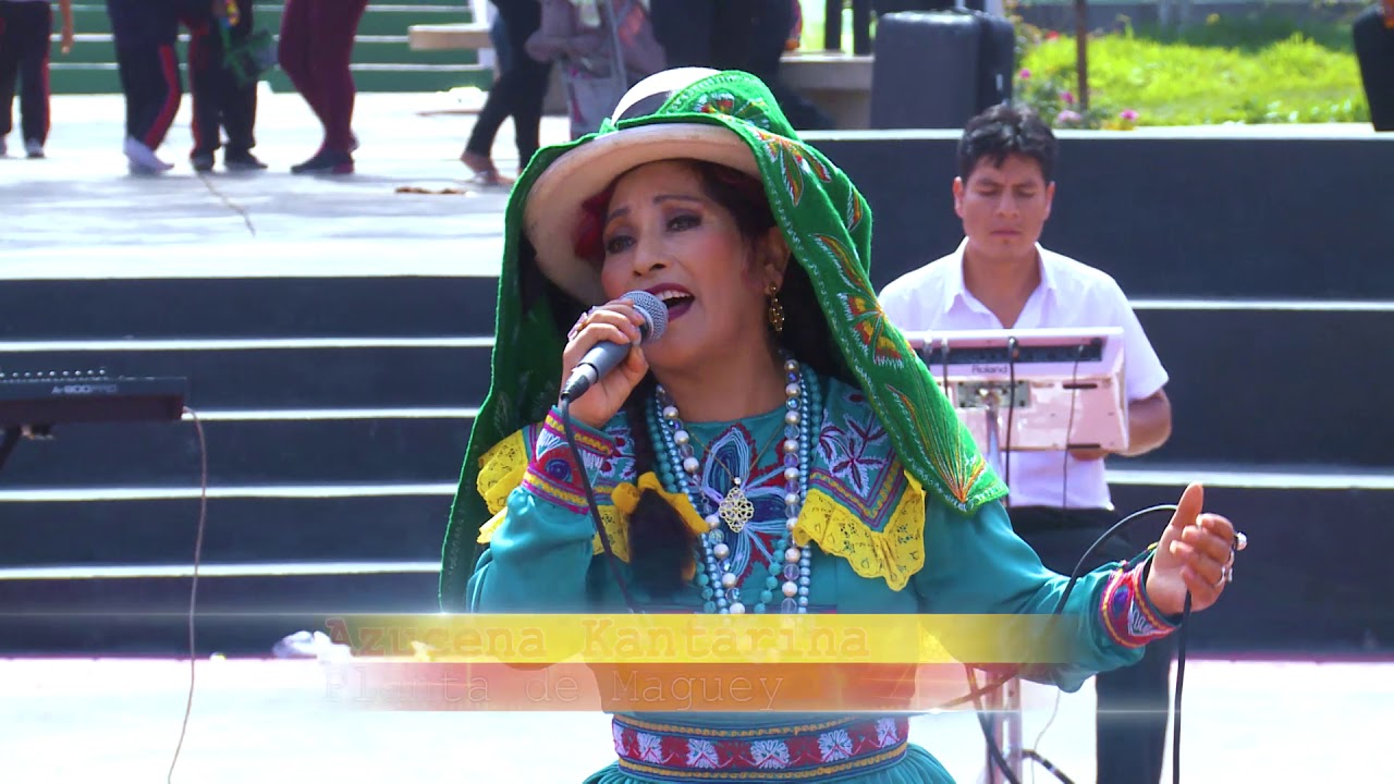 AZUCENA KANTARINA  -  PLANTA  DE  MAGUEY -   TUKILLA  PERU