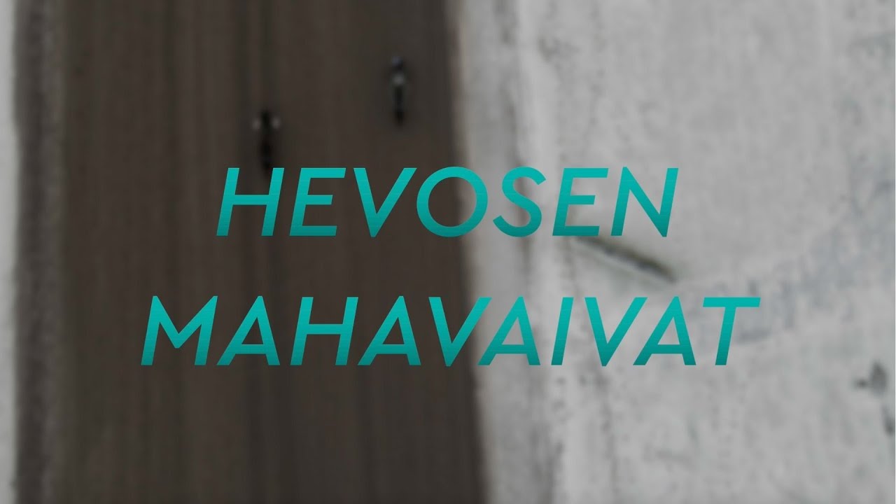 Hevosen mahavaivat - Oireet, tutkimus ja hoito