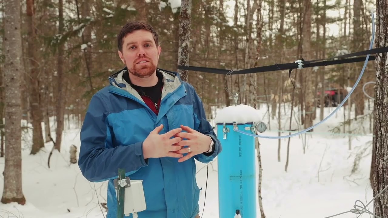 Video 2: How Sap Flows
