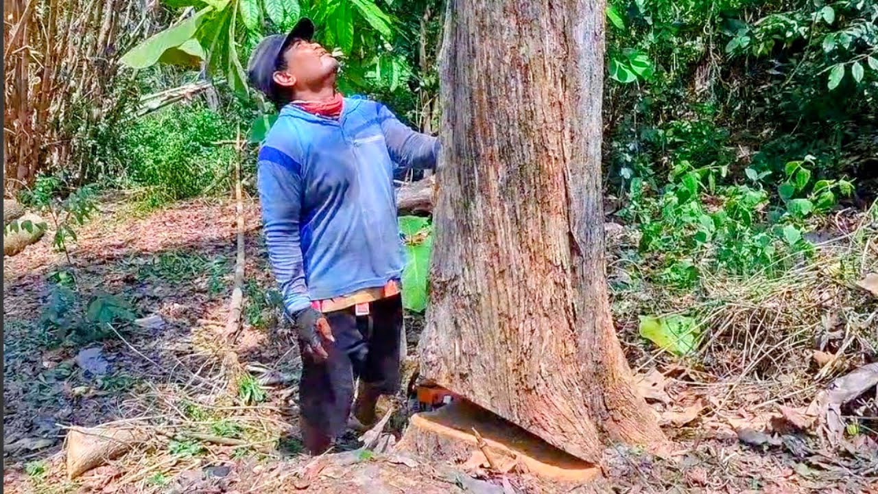 kayu jati Peninggalan KAKEK !!
