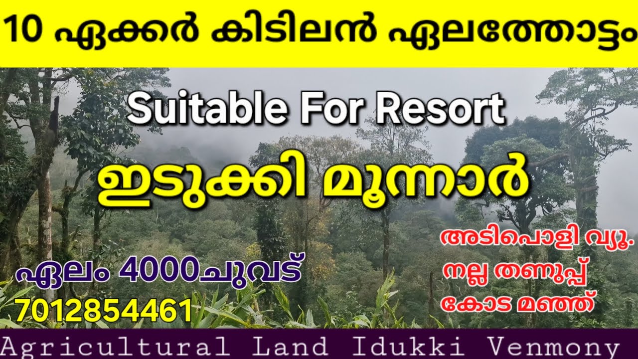 മൂന്നാറിൽ 10ഏക്കർ കിടിലൻ ഏലത്തോട്ടം.. 4000ചെടി. വഴി വെള്ളം.നല്ല തണുപ്പ് കോട മഞ്ഞ്. ഇടുക്കി മൂന്നാർ👇 