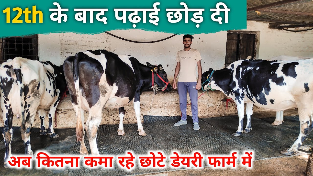 कितना कमा लेते है अब डेयरी फार्मिंग से | Mini Cow Dairy Farm In India