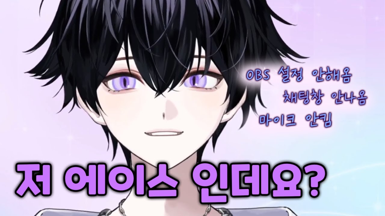 💜 역대급 바보 고양이 디온 데뷔
