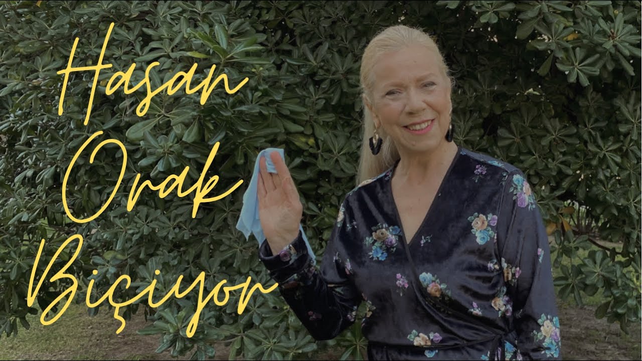 Havva Karakaş-Hasan Orak Biçiyor