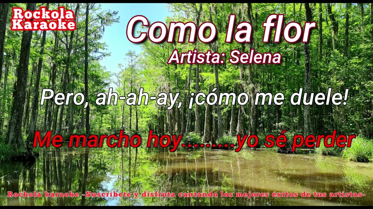 Como la flor (Karaoke)