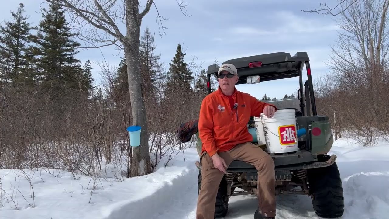 Getting Ready For Sap Season