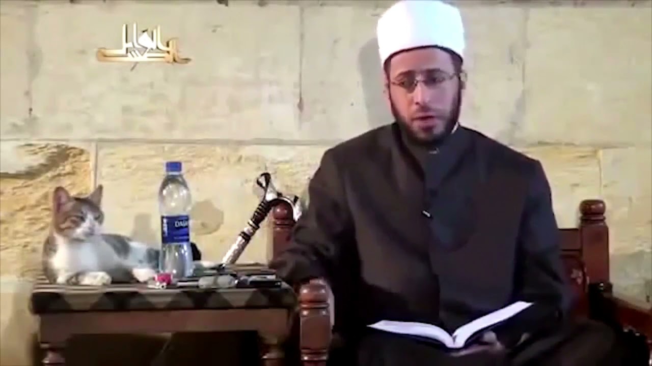 Syekh Usamah al-Azhari dan Kucing di al-Azhar