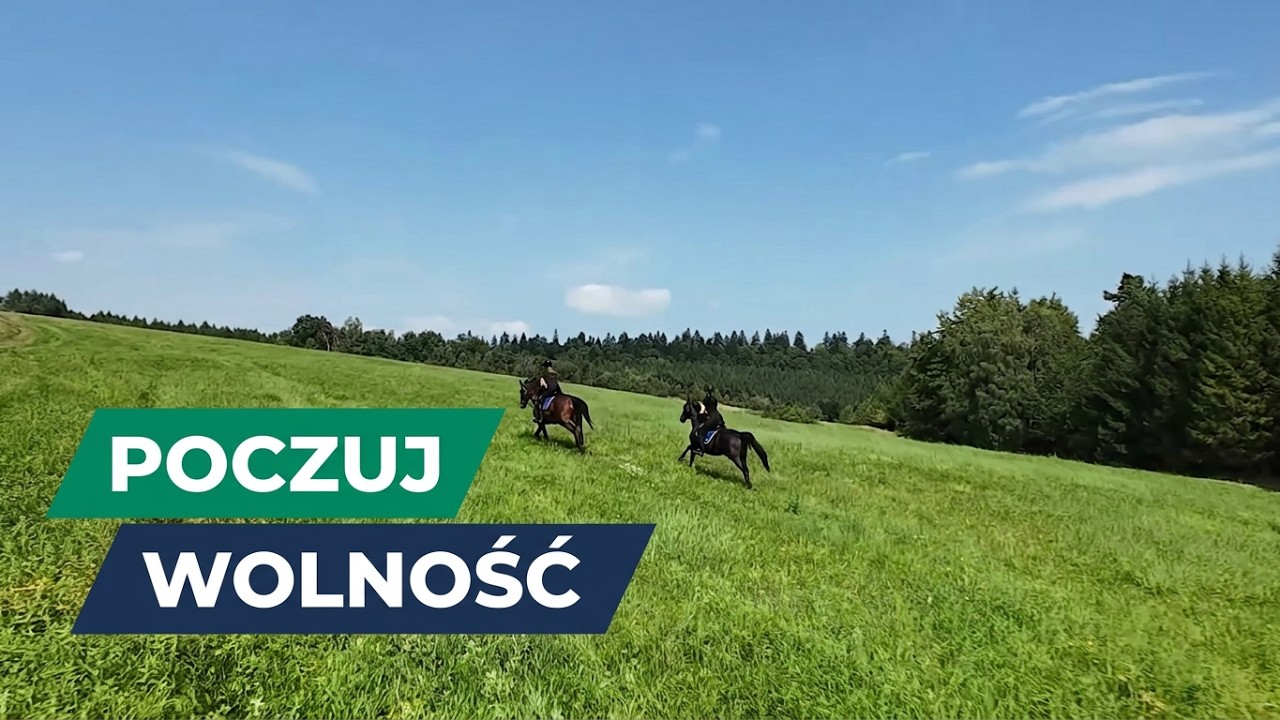 🐎Odkryj Radość Jazdy Konnej w Ośrodku Jeździeckim Arłamów 🐎 #jazdakonna #arłamów