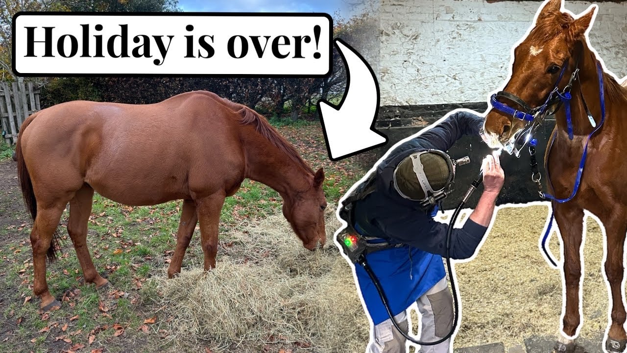 Ember’s Holiday Is OVER After 7 Months Off!~ Part I