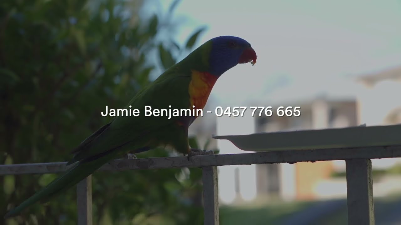 Video Walk Through | 21 Stirling Ave, North Rocks