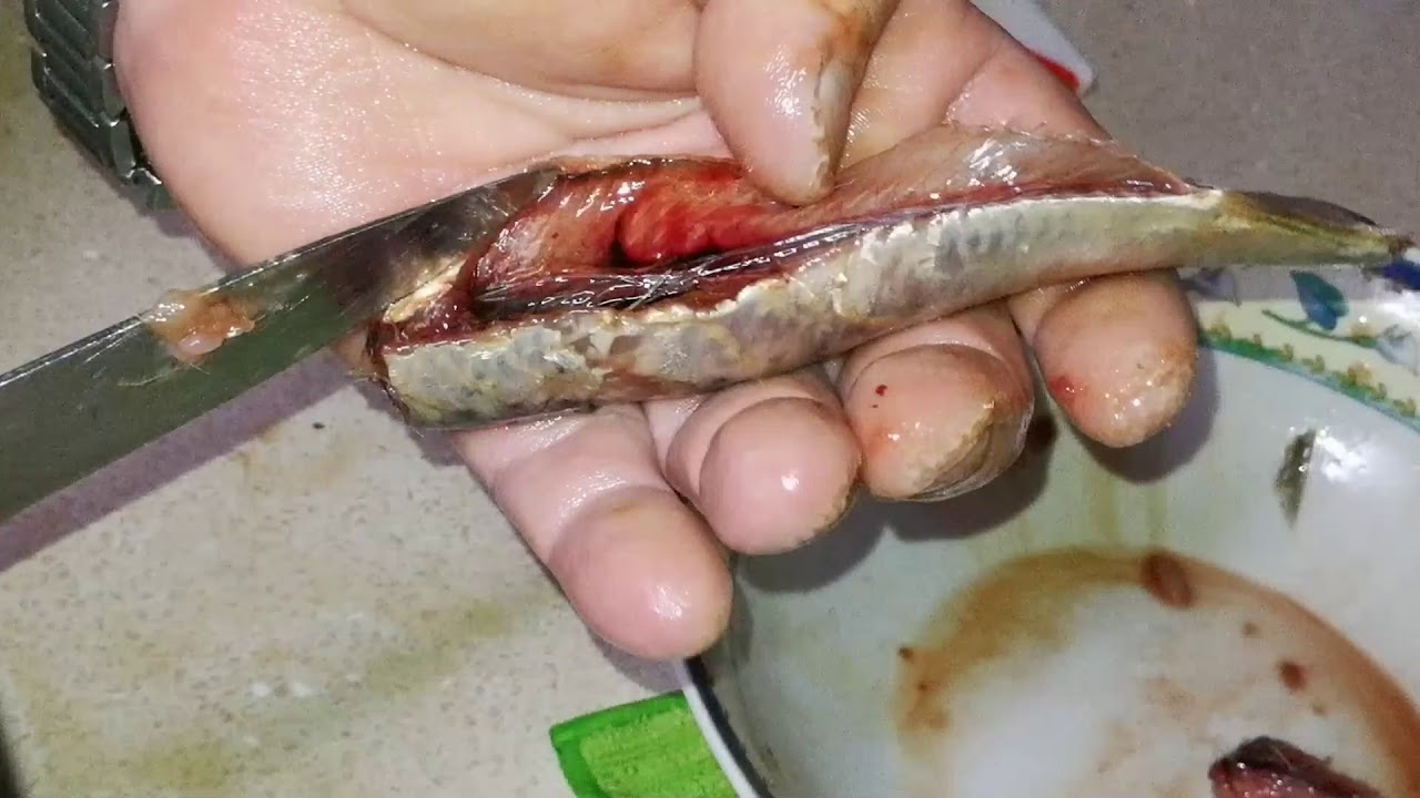 Boquerones en vinagre, sardinas fritas, limpieza y guardado de los boquerones (primera parte)