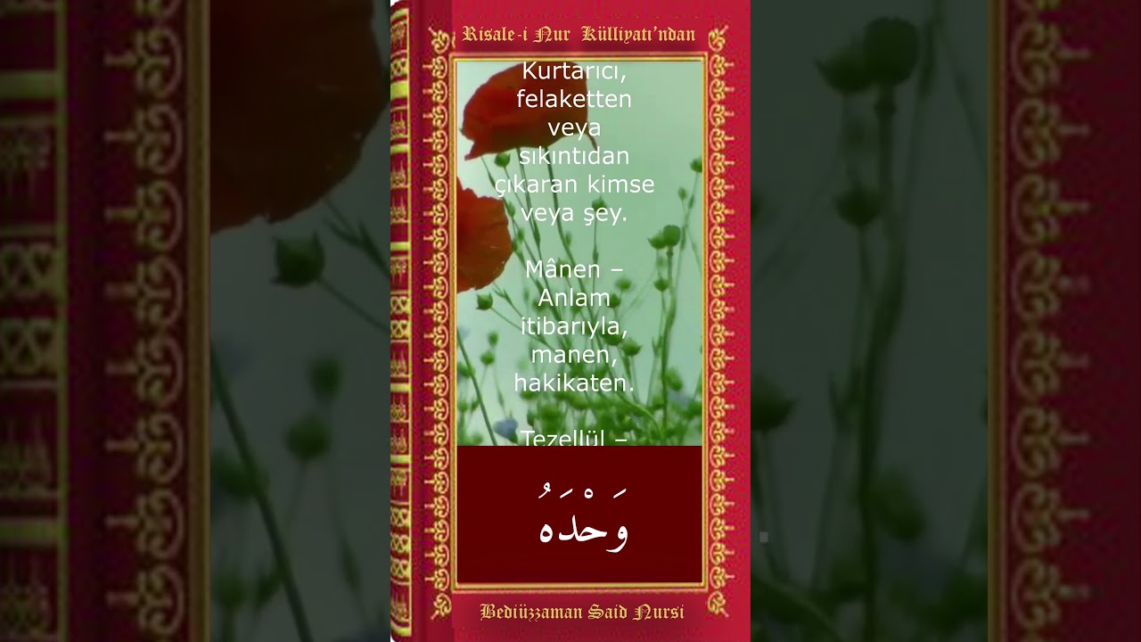 Vahdeh&ucirc;: Ruhun Sığınağı | Allah Birdir #Huzur #İlahiS&uuml;k&ucirc;net #Bedi&uuml;zzaman #Diniİlham #KısaDiniVideo
