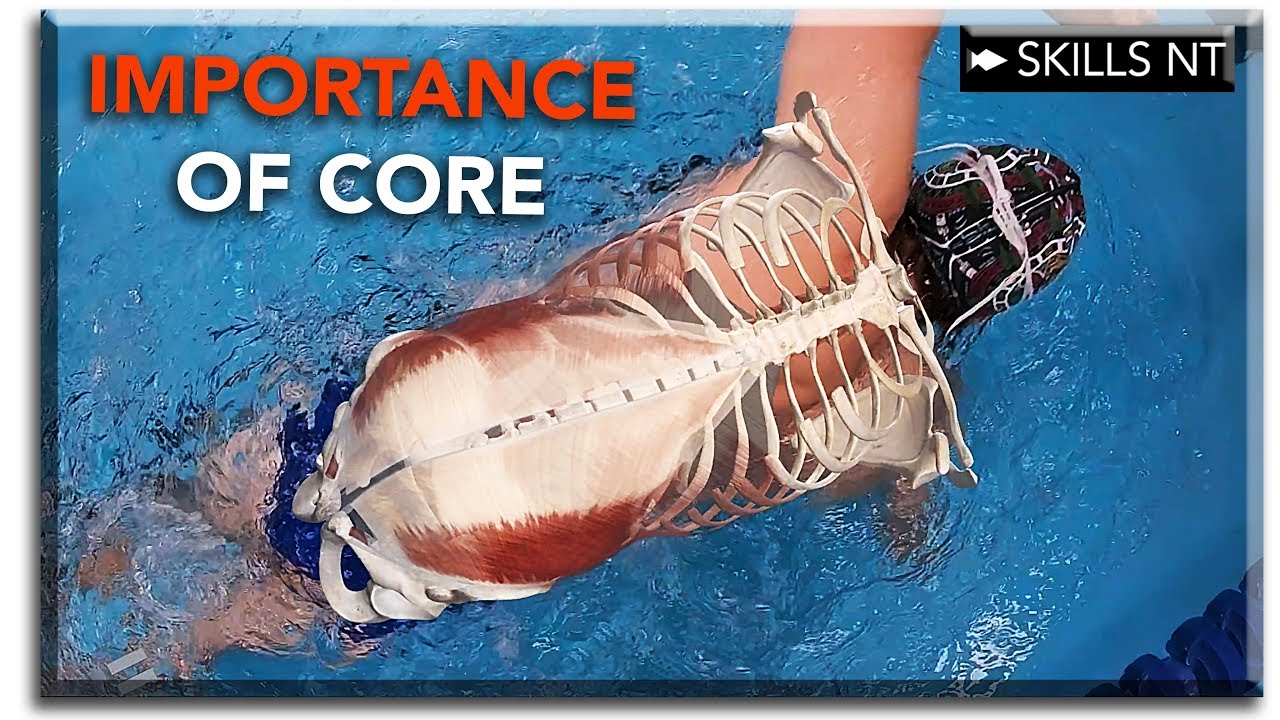 The most important muscles in swimming :: Strong core = fast swimming