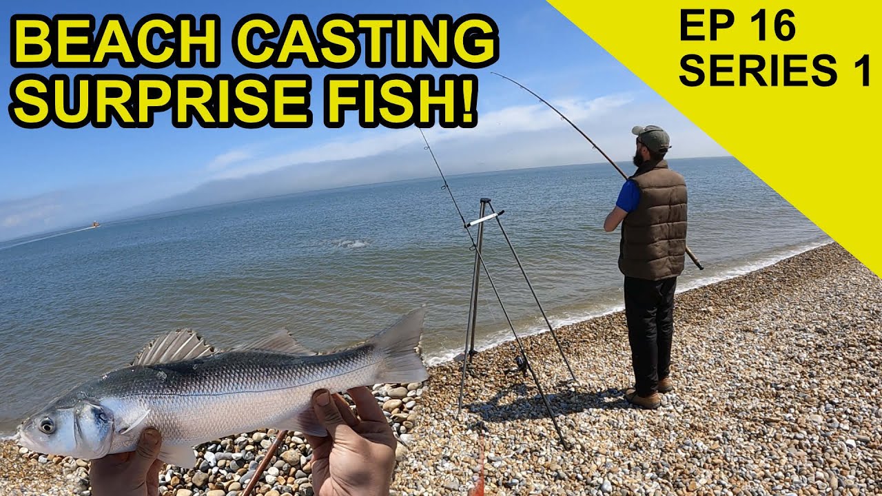 Beach Fishing Species Hunt: Species Hunt  (EPISODE 16)