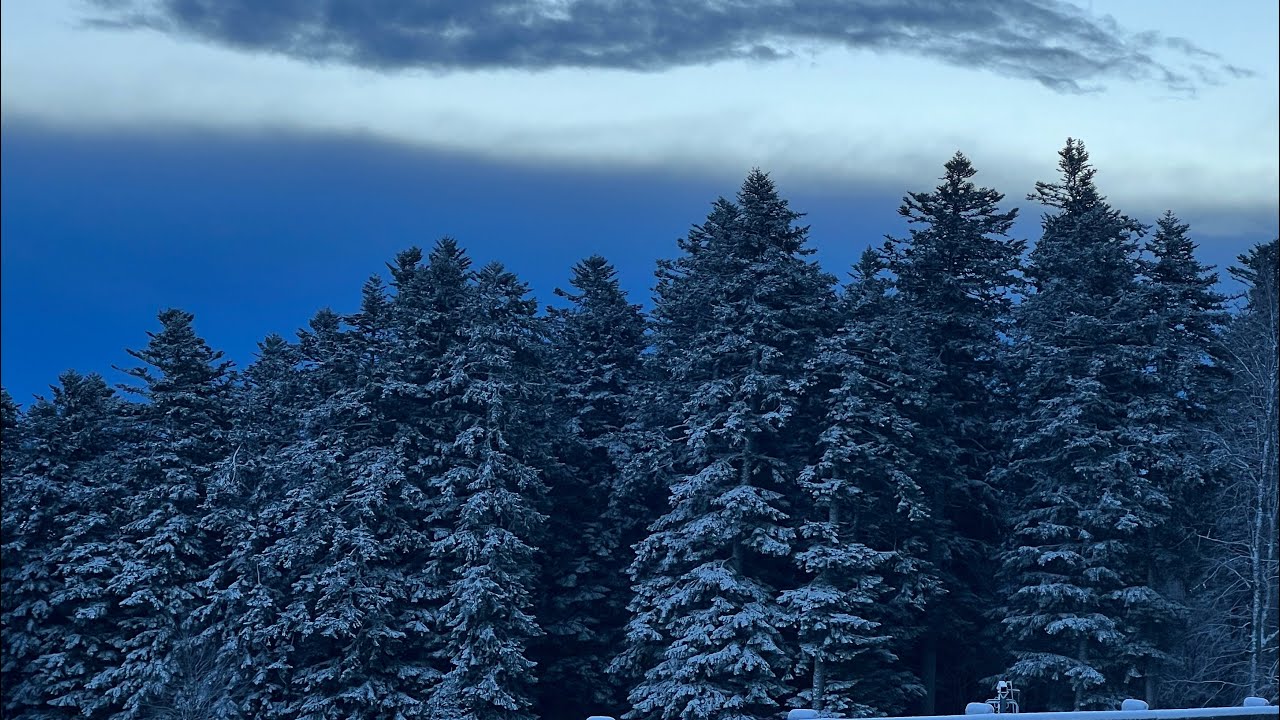 Aggiornamento Meteo Neve Appennino Tosco Emiliano ❄️ ABETONE ❄️4K