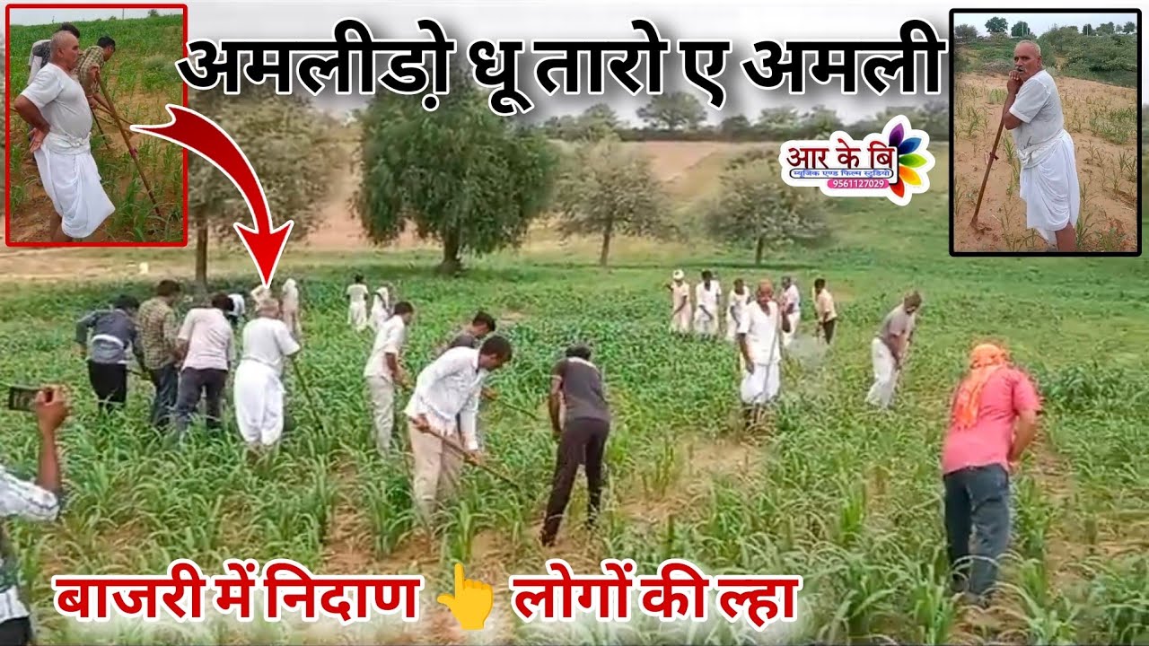 बाजरी में ला 💫 भणत बोलते लोग 💥 अमलीडो़ धु तारो ए अमलिडो़ !! कानो में अंगुली क्यों डालते हैं ✍️ करें