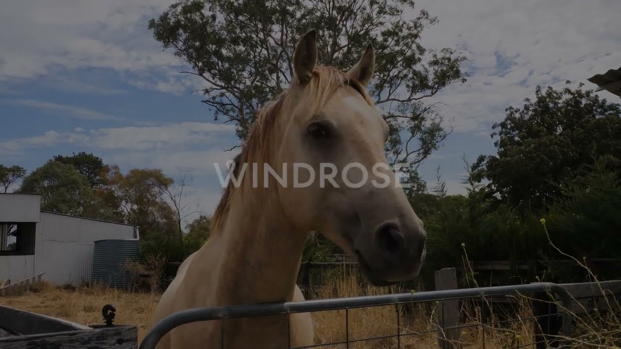 Now Selling | 683 Yass River Road, Yass River