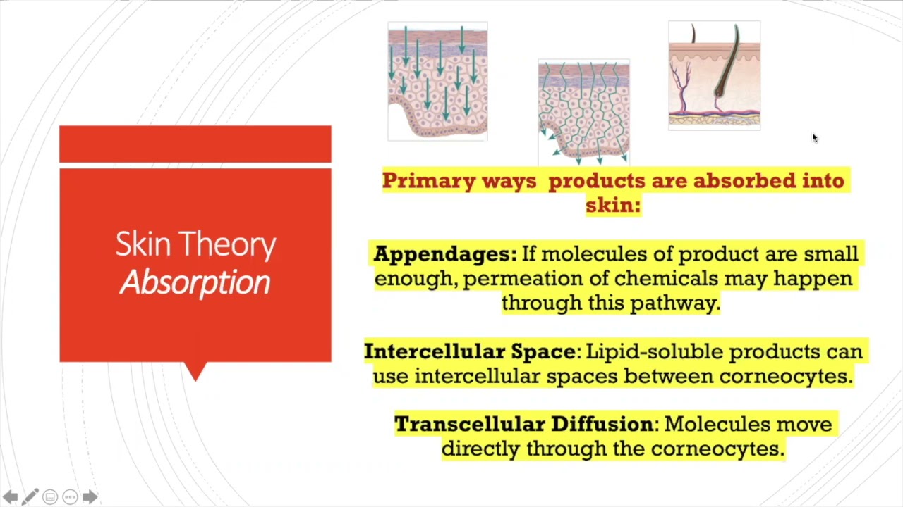 Skin Theory and Skin Health