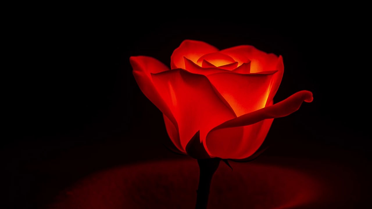 Fire In The Dark (Official Audio)