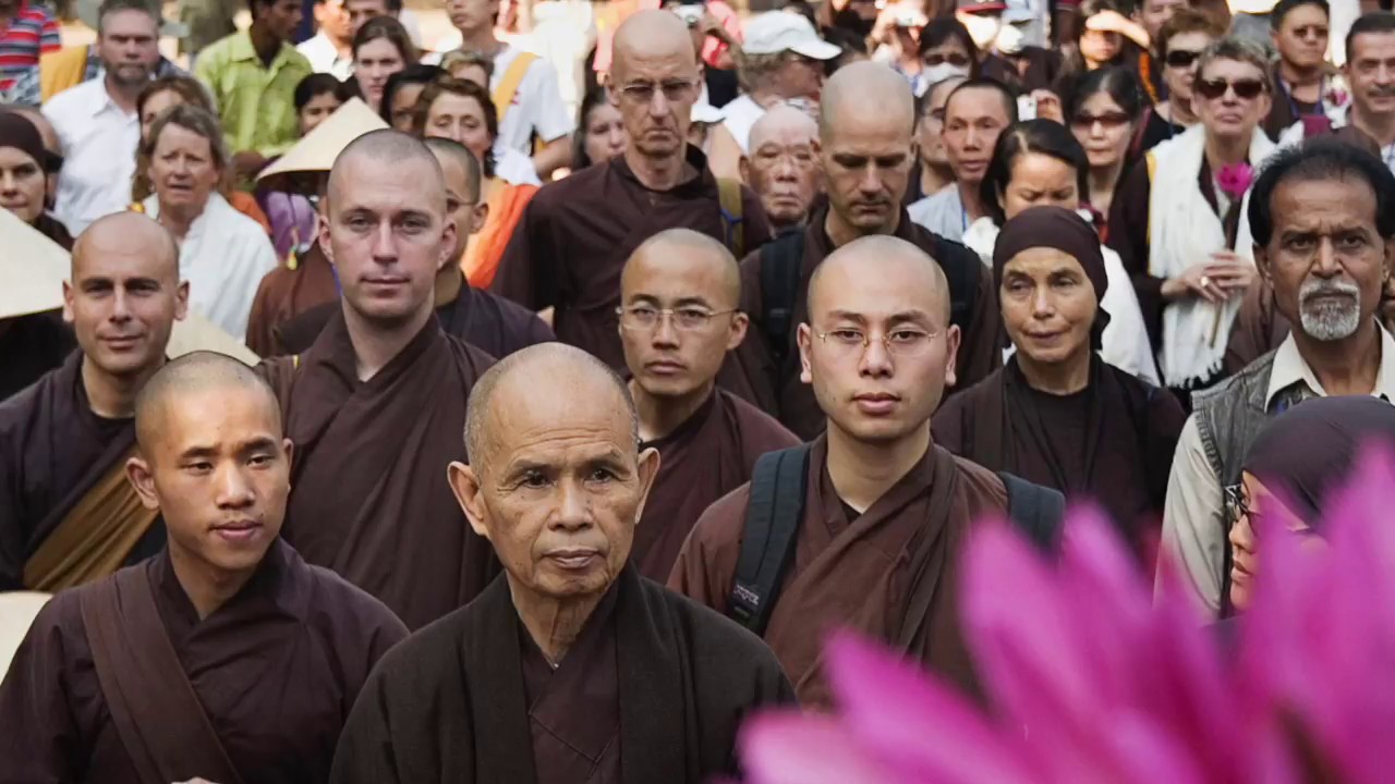 Vita e insegnamenti di Thich Nhat Hanh. Compassione