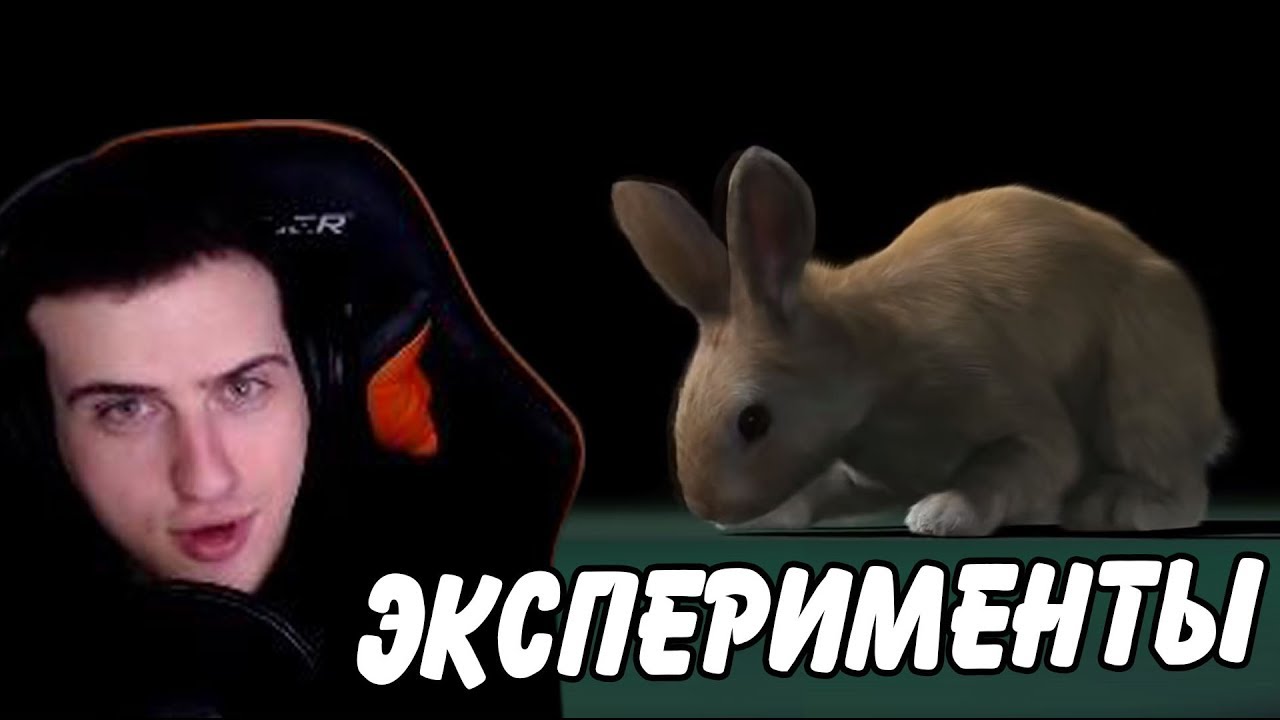Hellyeahplay смотрит: ПСИХОЛОГИЧЕСКИЕ ЭКСПЕРИМЕНТЫ НА ЖИВОТНЫХ