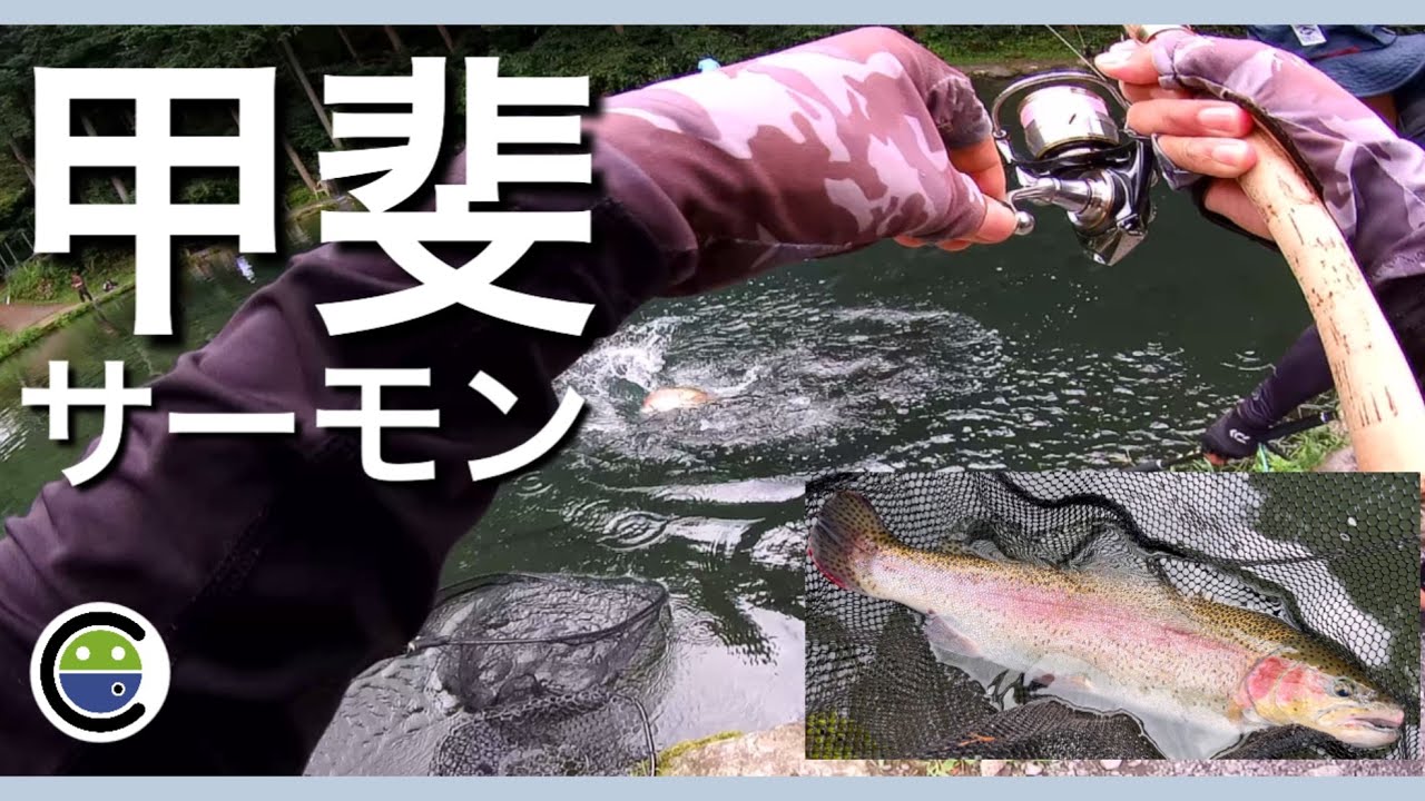 3連休最終日の激渋の中でも甲斐サーモンを釣る【エリアトラウト】