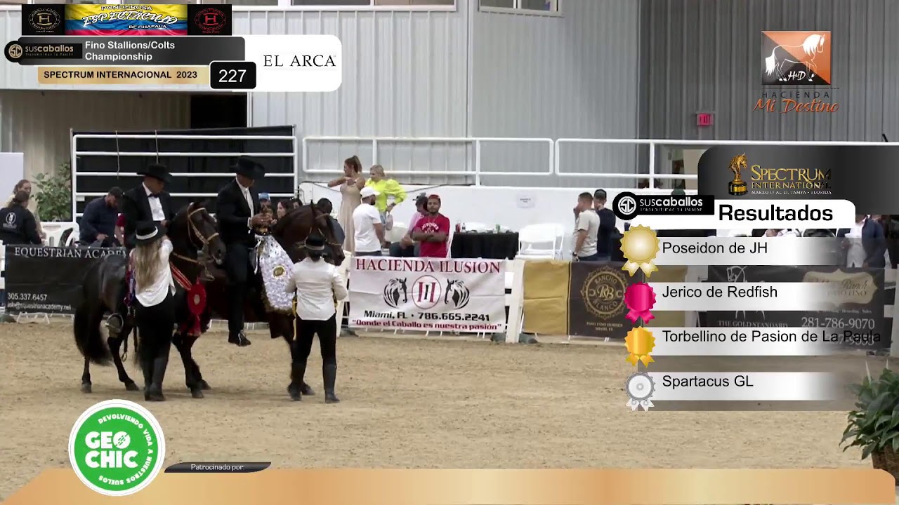 SPECTRUM INTERNACIONAL DIA 4 - WORLD ECUESTRIAN CENTER - OCALA FLORIDA.