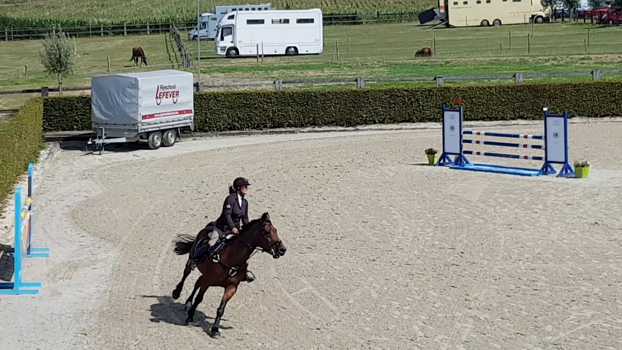 Annette met Correnada Z te Ternat 04/08/2019 105 cm dubbel foutloos 👍😉