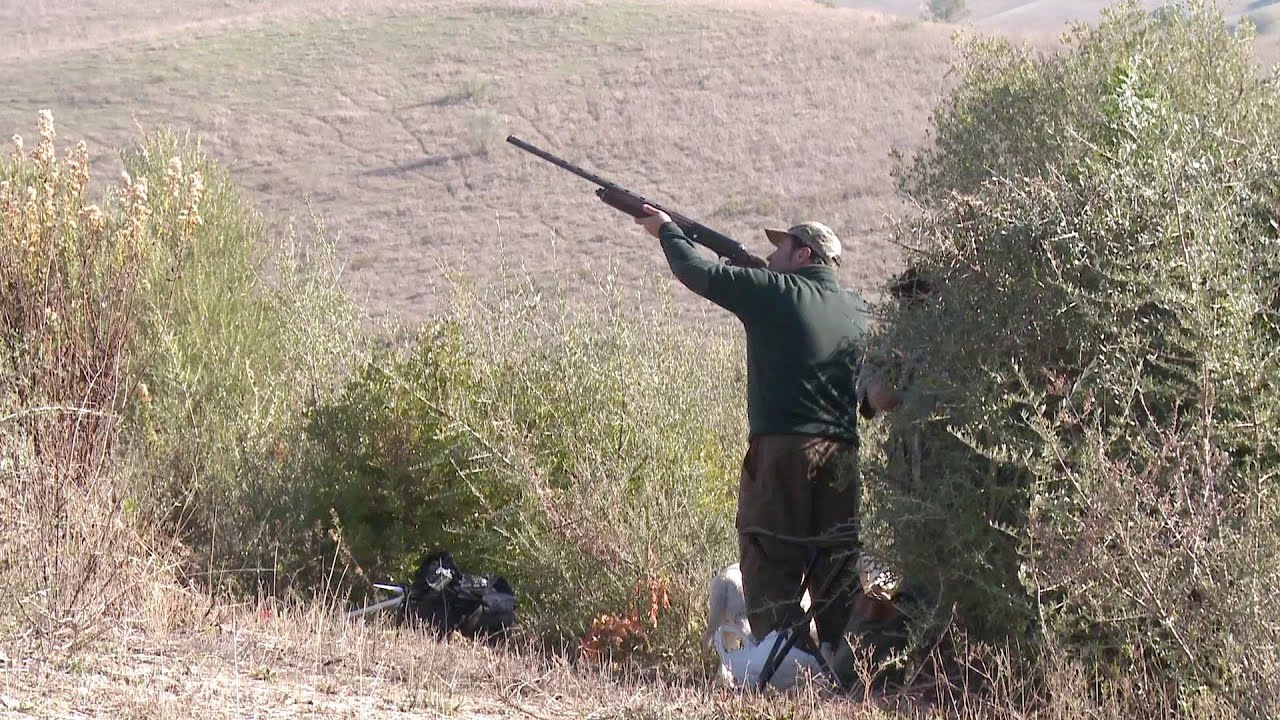 ZORZALES EN SAN JOSE DEL VALLE