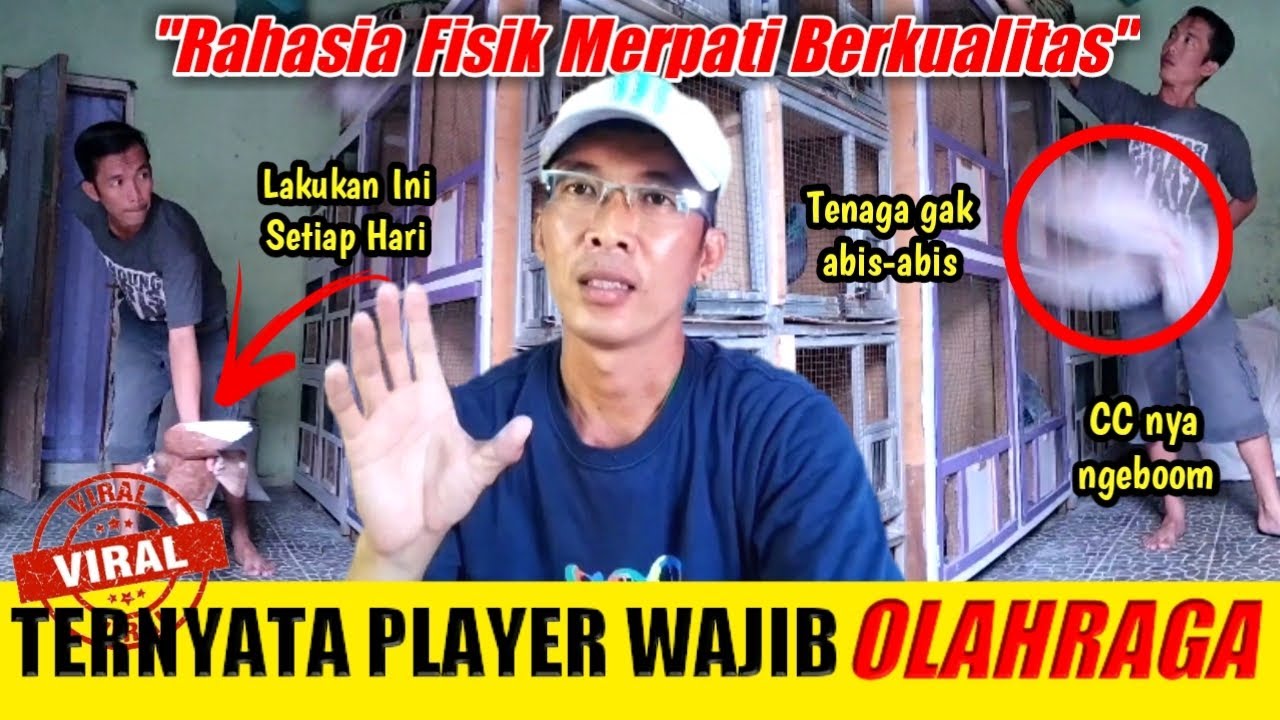 TRIK INI MEMBUAT FISIK MERPATI PLAYER KUAT BERTENAGA !!