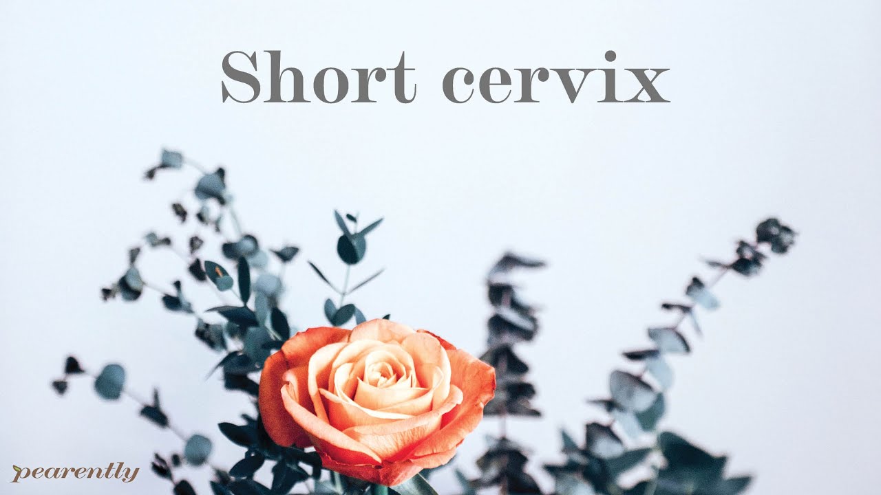 What is a short cervix in pregnancy?