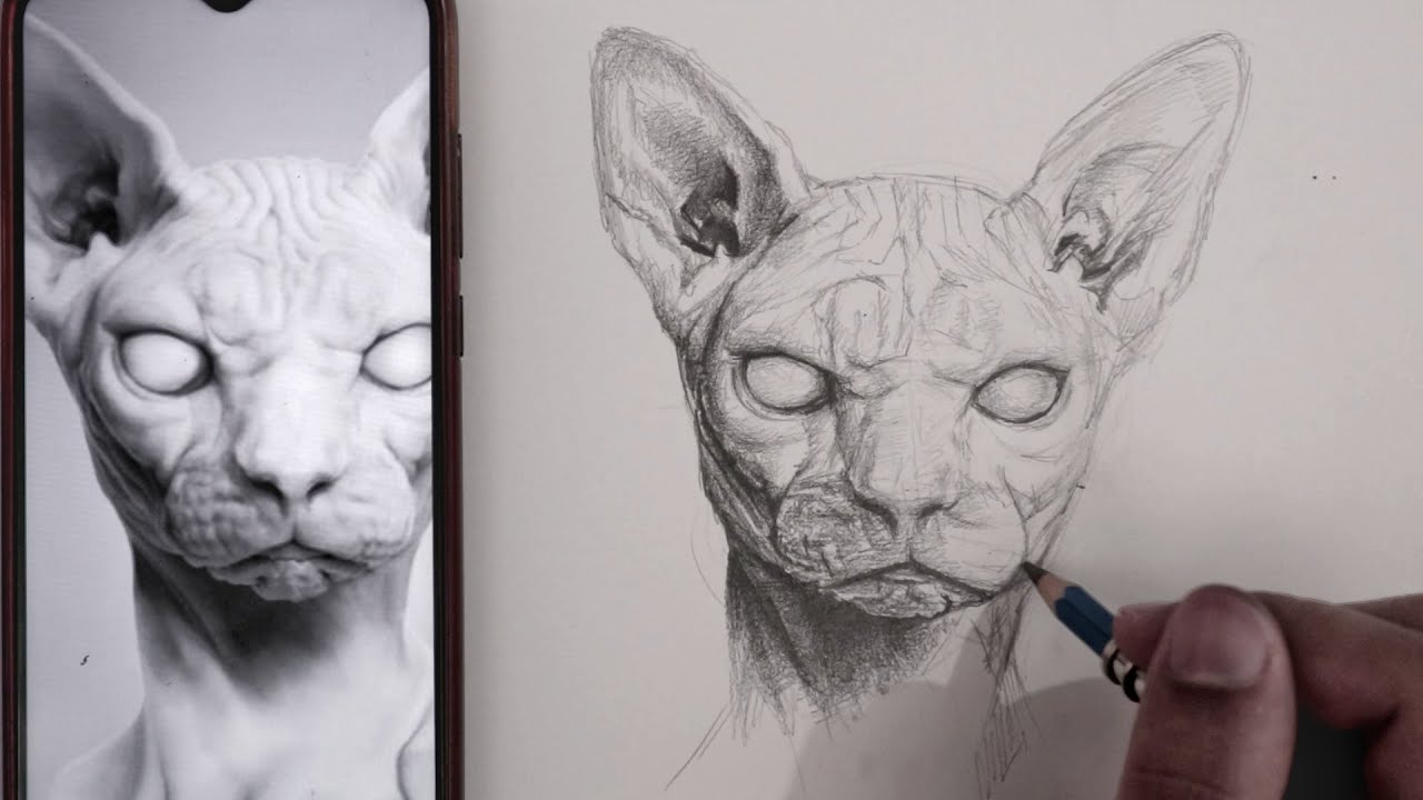 الكبسولة السحرية للرسامين 💊 لظبط الشبه وملامح الوجه..!