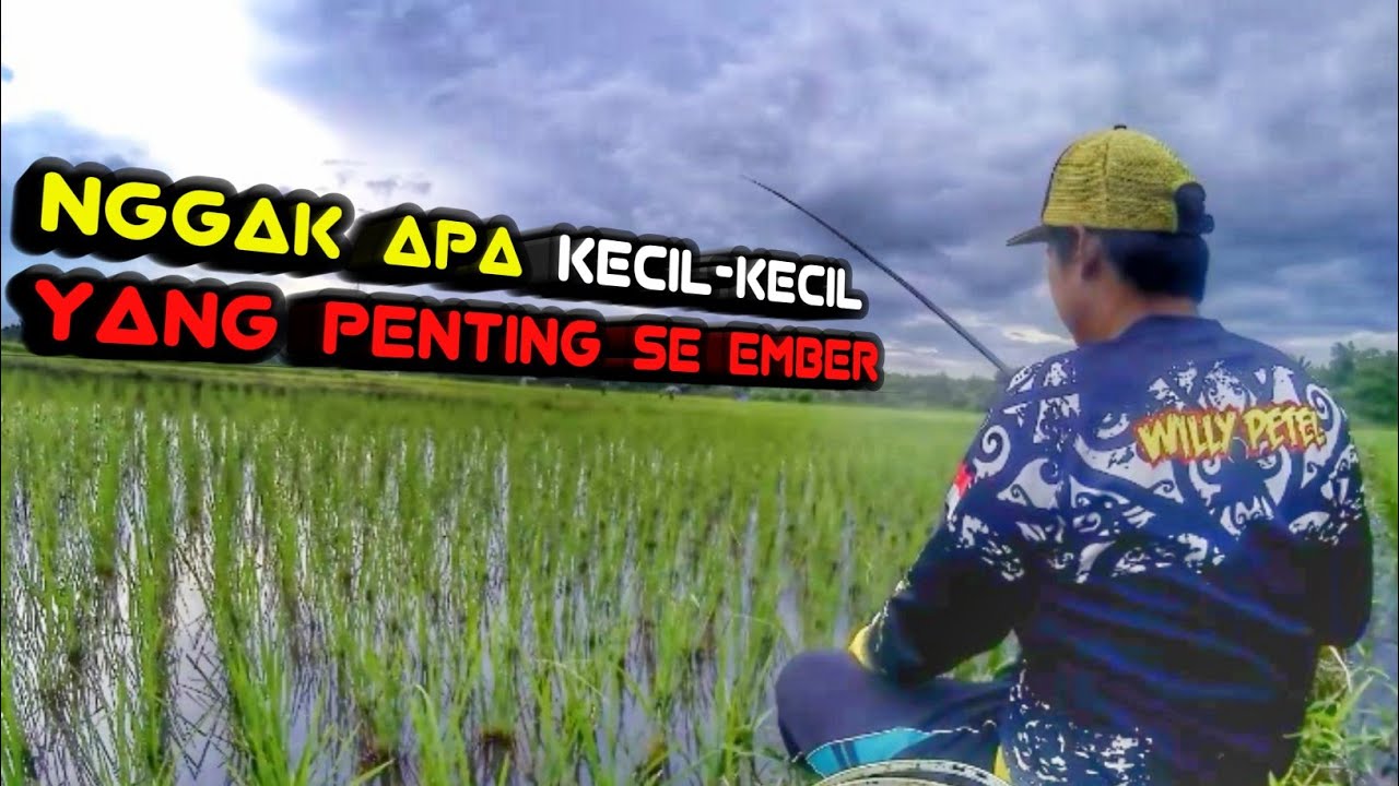 Mancing Ikan Papuyu di Sawah || Sungai Danau