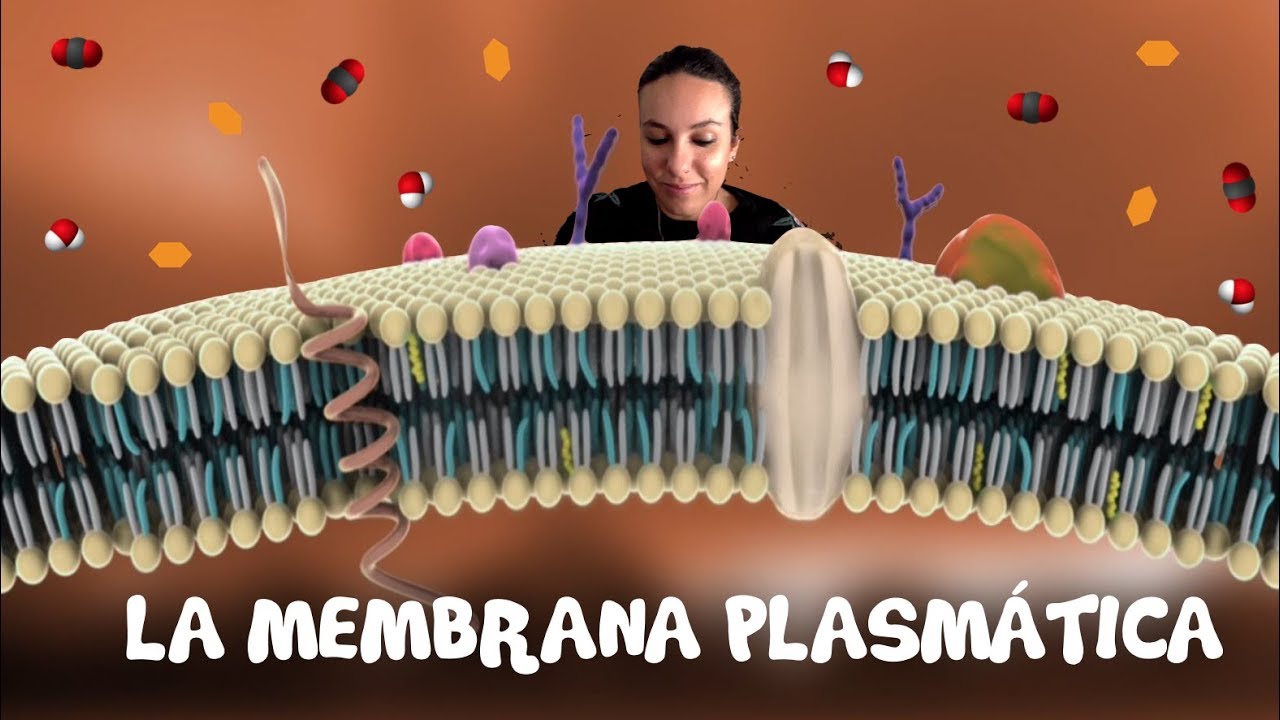La membrana plasmática - 2º de Bachiller. Bio[ESO]sfera