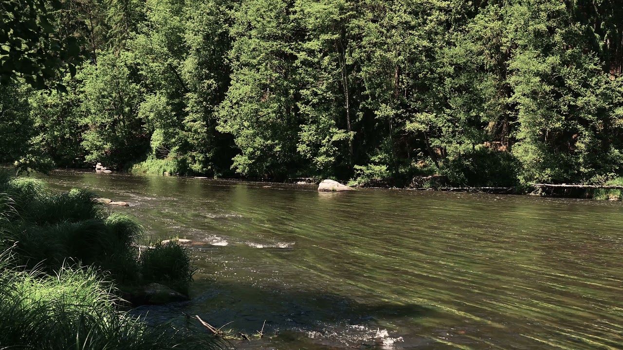 Der Schwarze Regen, wilde Flusslandschaft im Bayerischen Wald 4K