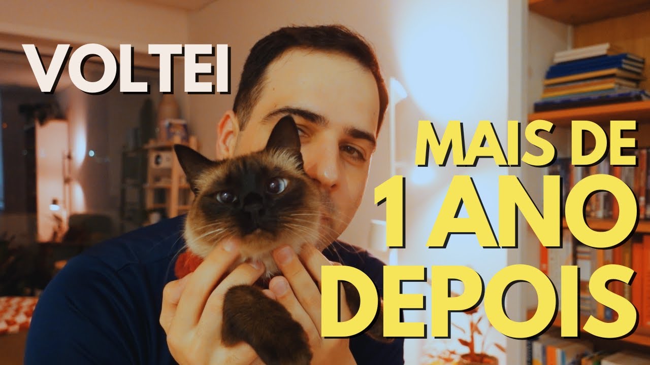 O Regresso: Estes Livros Trouxeram-me de Volta ao Youtube!