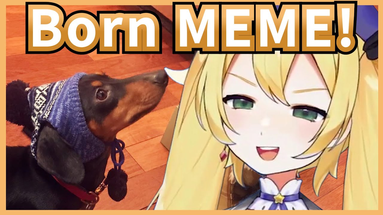 Dokibird Can't Get Enough Of Her Dog's Meme Faces