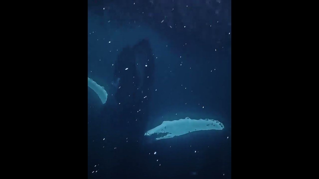 Team Aqualung | This is not your average dive ⛔️ #short
