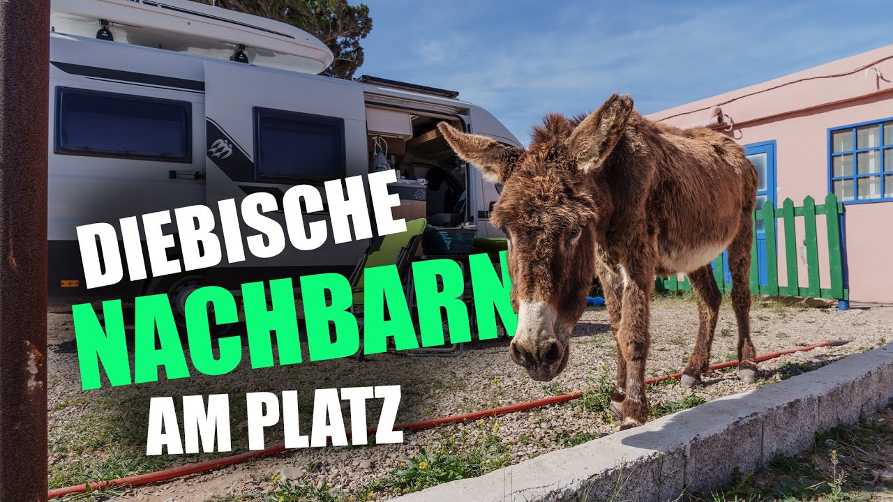 Wir BRAUCHEN eine REISEPAUSE! Marokko in Sidi Kaouki erleben