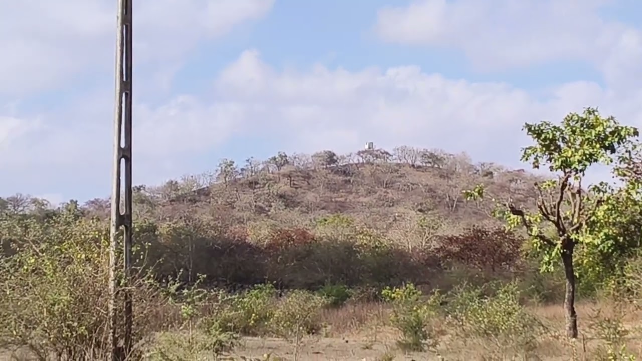 Sasan Gir Option 2