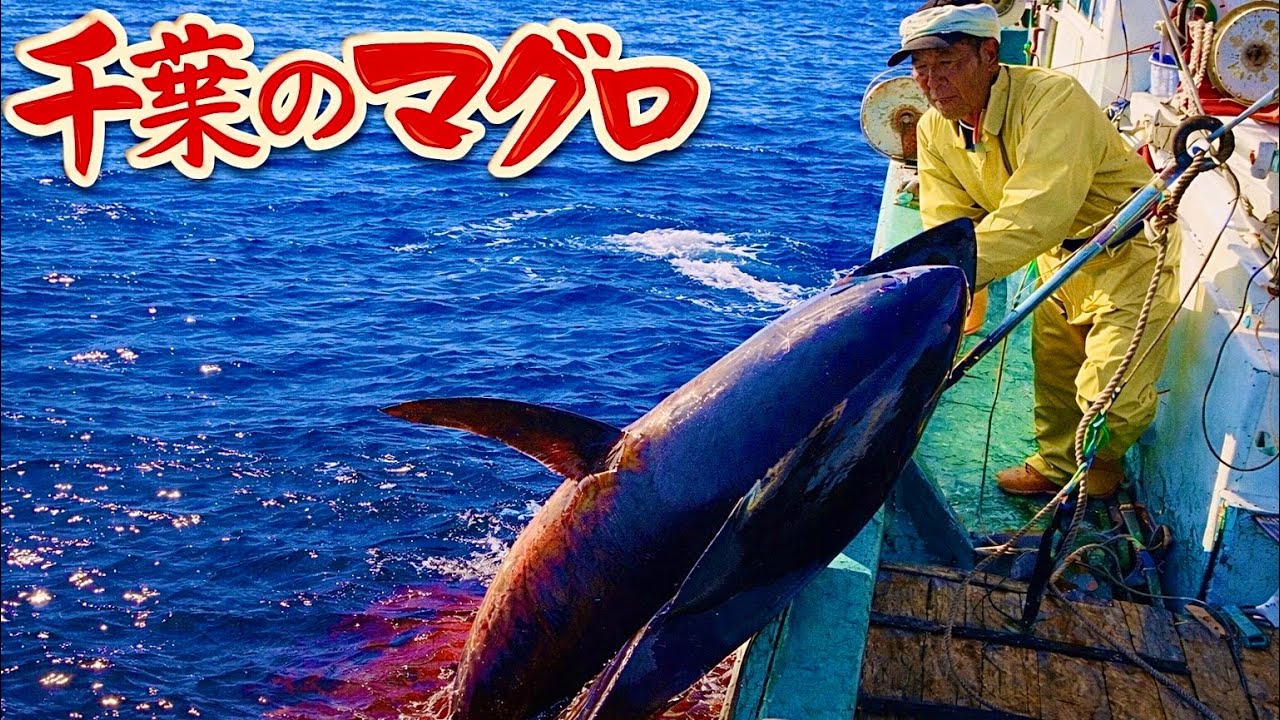 【千葉のマグロ】海が赤く染まった日 ひとりの漁師に密着