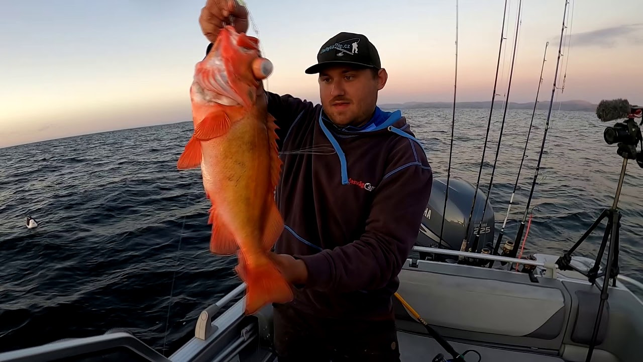 Beautiful redfish