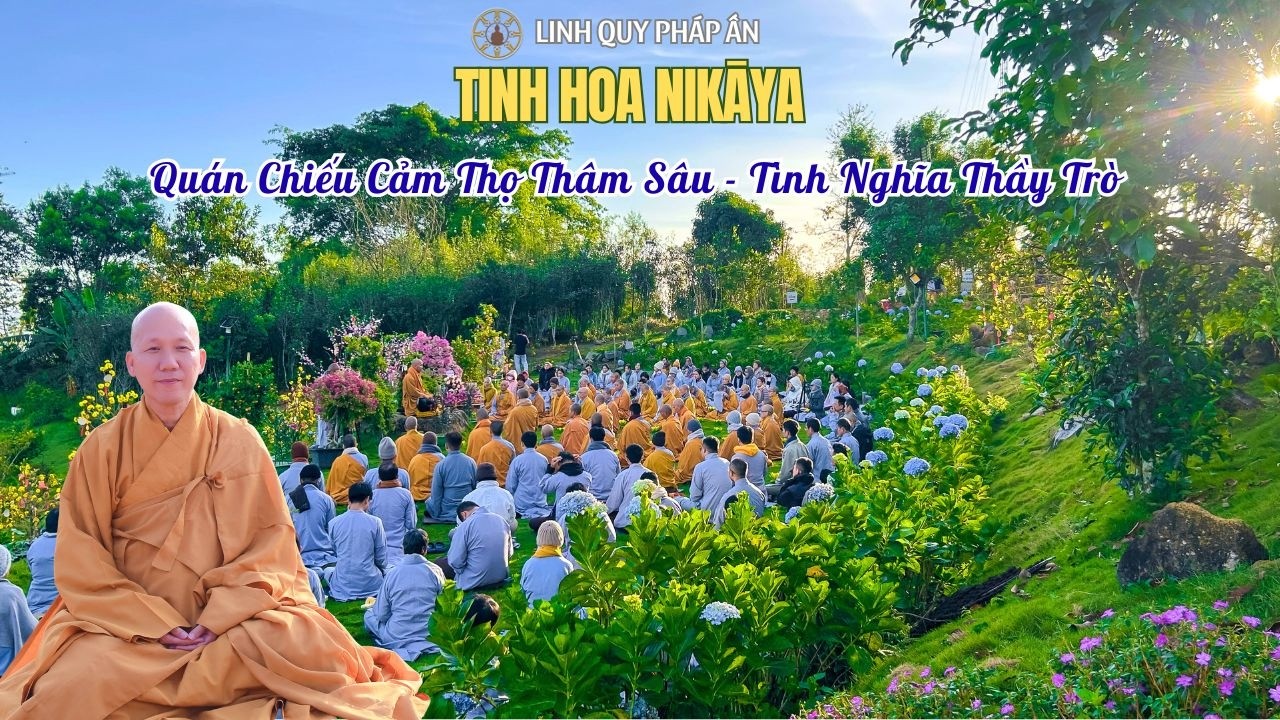 NIKAYA Thiền Quán