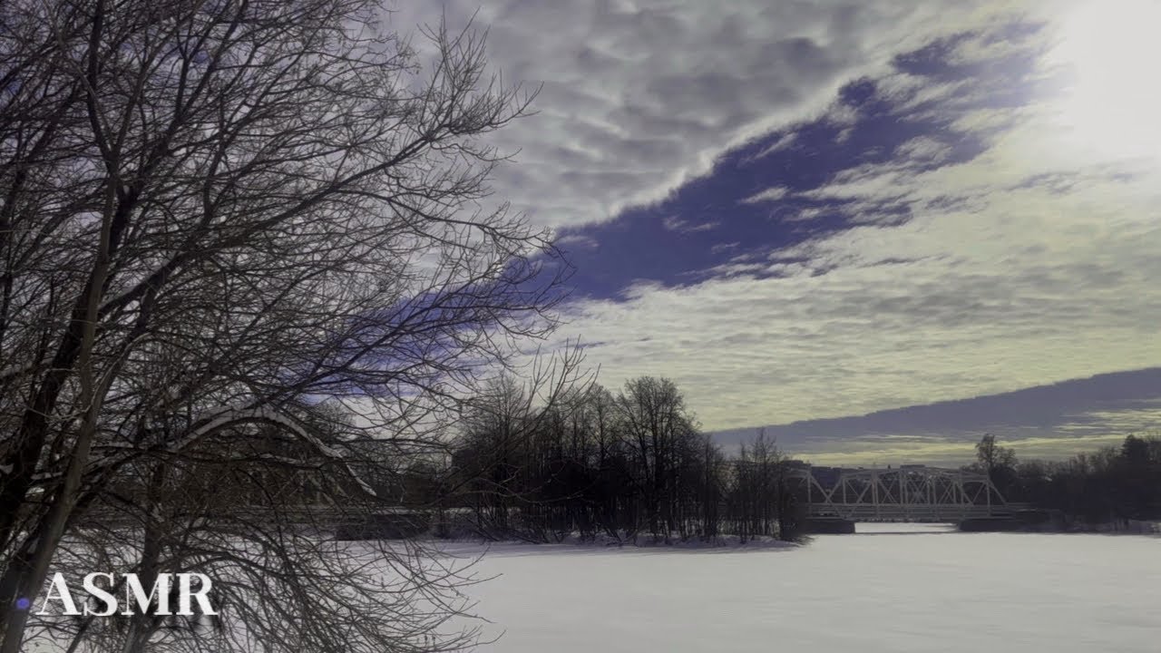  ❄️ Canada Winter Forest | Snow Sounds & Soft Sunlight