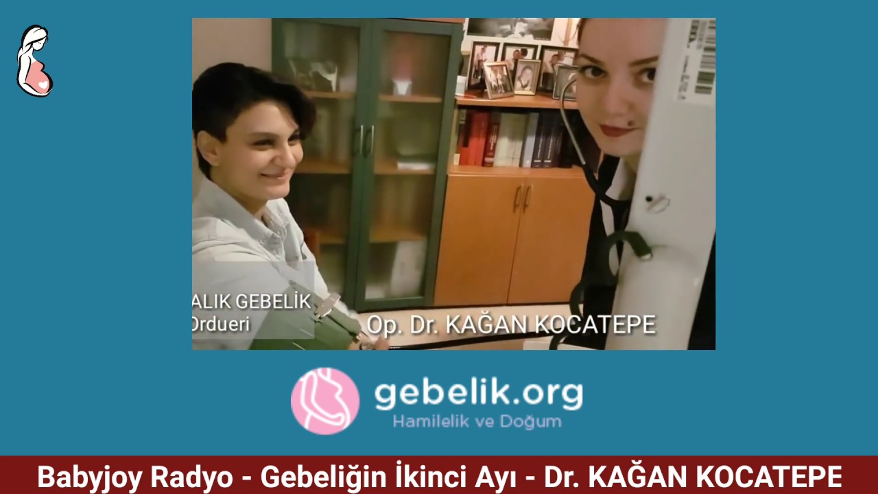 GEBELİKTE 2. AY (~ 4 - 8. HAFTALAR). ANNE ADAYI NELER YAŞAR VE HİSSEDER? BEBEKTE NE GELİŞMELER OLUR?